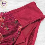 Premium Embroidered Bra & Panty Set for Women. Sexy Elegant Floral Lingerie Set - Image 7