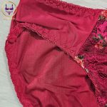 Premium Embroidered Bra & Panty Set for Women. Sexy Elegant Floral Lingerie Set - Image 5