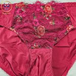 Premium Embroidered Bra & Panty Set for Women. Sexy Elegant Floral Lingerie Set - Image 3